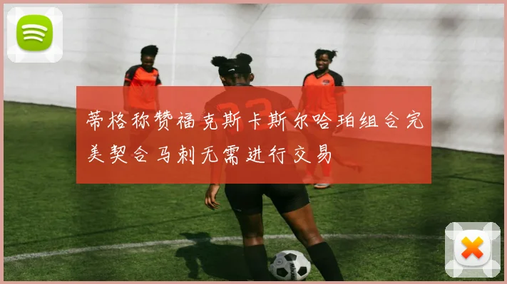 蒂格称赞福克斯卡斯尔哈珀组合完美契合马刺无需进行交易