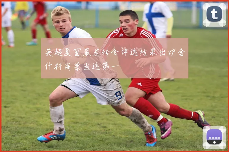 英超夏窗最差转会评选结果出炉舍什科高票当选第一
