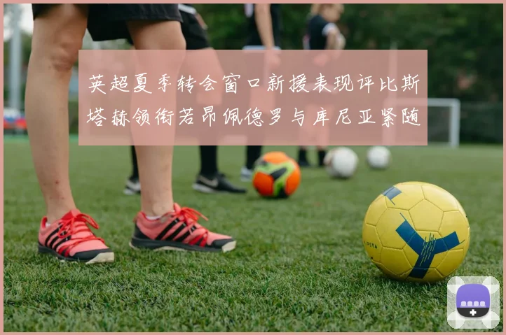 英超夏季转会窗口新援表现评比斯塔赫领衔若昂佩德罗与库尼亚紧随其后