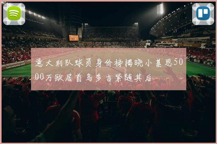 意大利队球员身价榜揭晓小基恩5000万欧居首乌多吉紧随其后