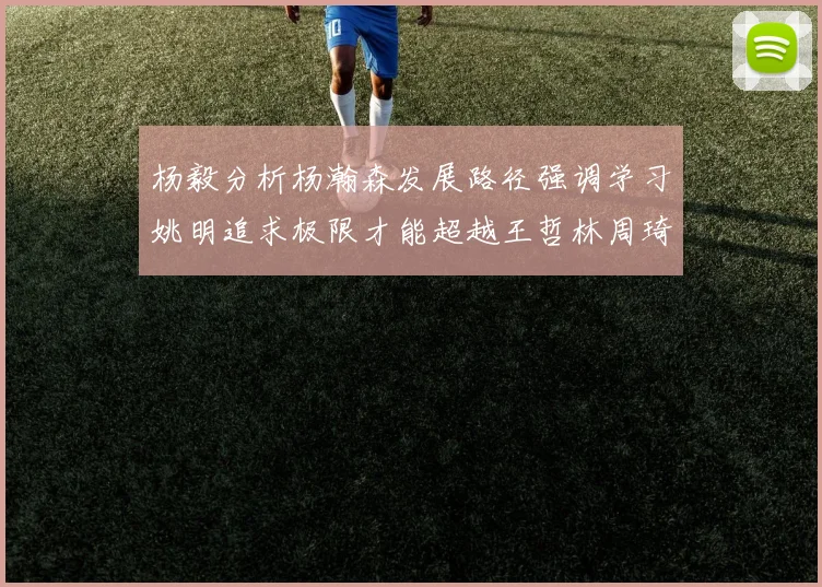 杨毅分析杨瀚森发展路径强调学习姚明追求极限才能超越王哲林周琦状态