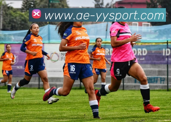 易游体育发展历程